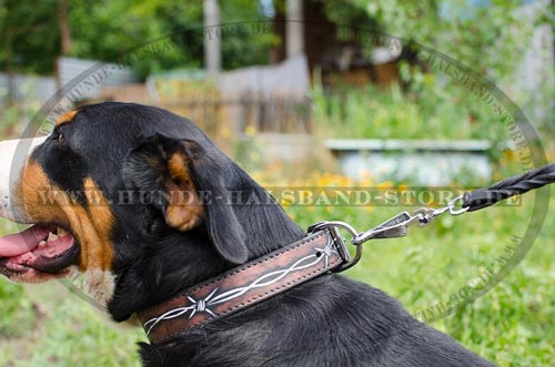 Hundehalsband für Sennenhund stilvoll