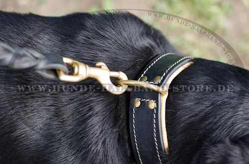 Halsband für Schweizer Sennenhund 