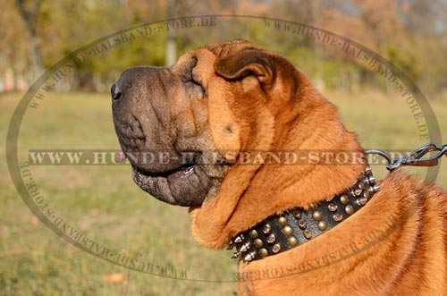 Halsband mit drei Reihen von Spikes und Nieten