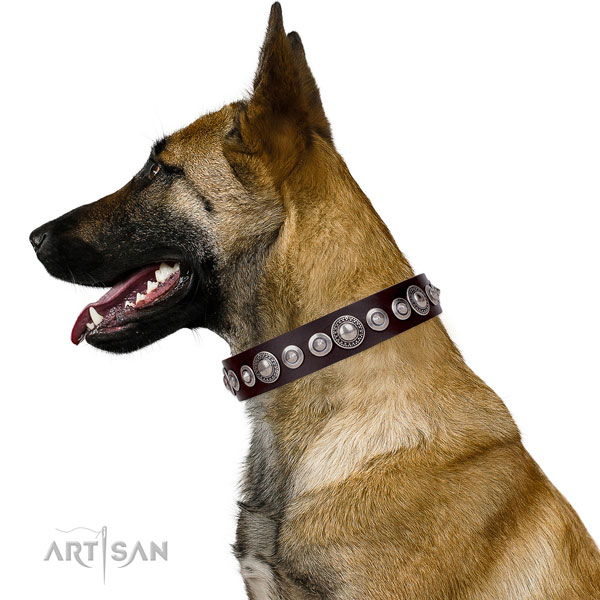  bequemes
Hundehalsband Leder fuer jeden Hund