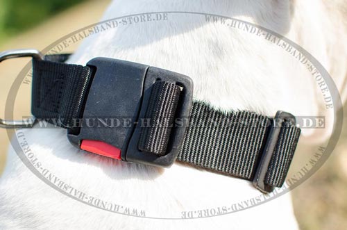 Hundehalsband Nylon ohne Schmuck =