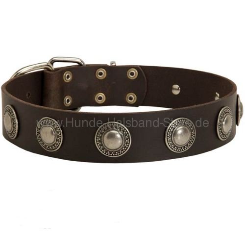 Hundehalsband Leder mit Konchen