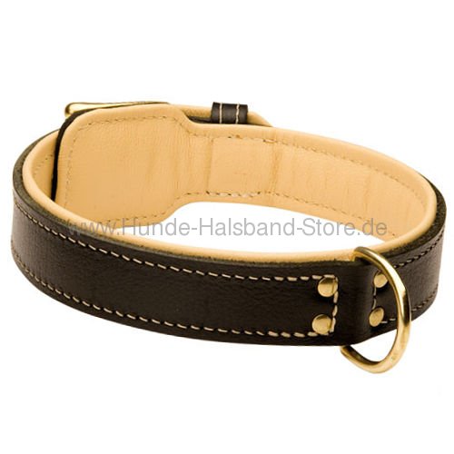 Hundehalsband aus Leder fuer Malinois 