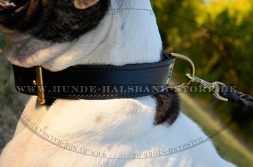 Hundehalsband fuer Erziehung und Training