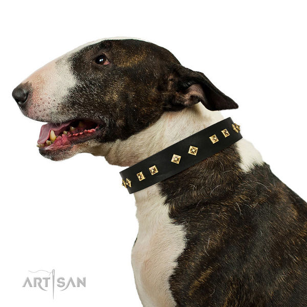 Halsband stilvolles Design am Hund