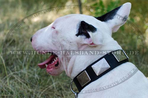 Halsband aus Nylon mit Schilderschmuck fuer Bullterrier