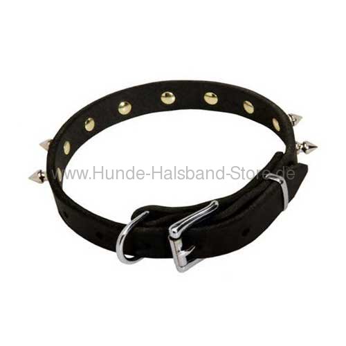 Nietenhalsband für Malinois