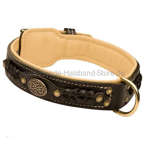 Hundehalsband aus Leder stilvoll 