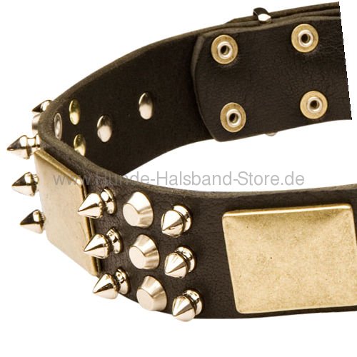 Hundehalsband mit Schmuck