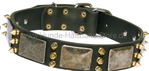 Hundehalsband aus Leder Malinois 