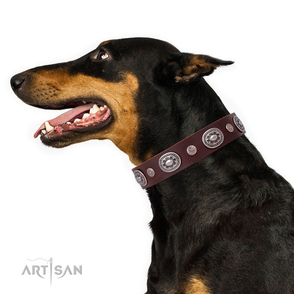 exklusives Hundehalsband am Dobermann