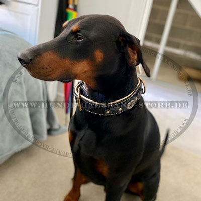 Hundehalsband mit
Flechten am Dobermann