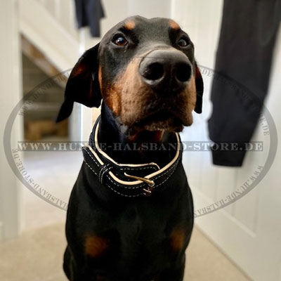 Hundehalsband mit
Flechten am Dobermann von Marcus