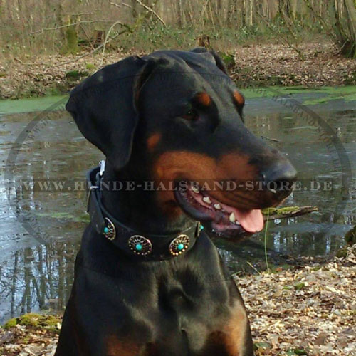 Hundehalsband mit
blauen Steinen