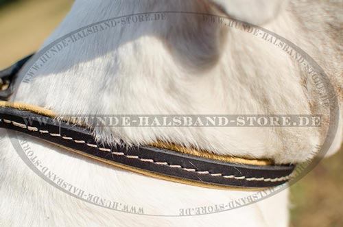 Hundehalsband 13 mm 