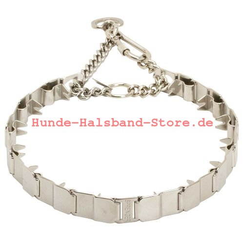 Hundehalsband fürs Training