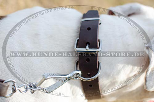 Hundehalsband ohne Schmuck=