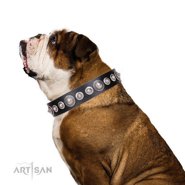  Erstklassiges
Hundehalsband aus echtem Leder