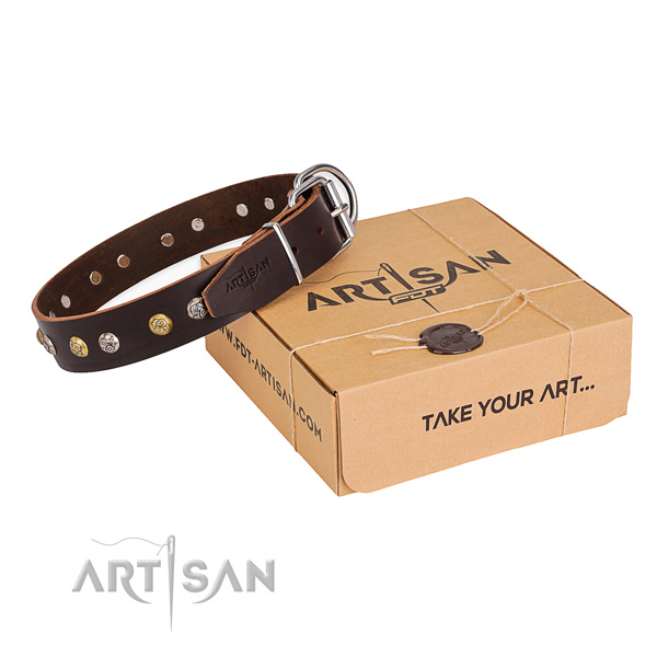 ideales Hundehalsband mit Geschenkbox