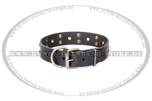 Ledernes Halsband feste Metallteile