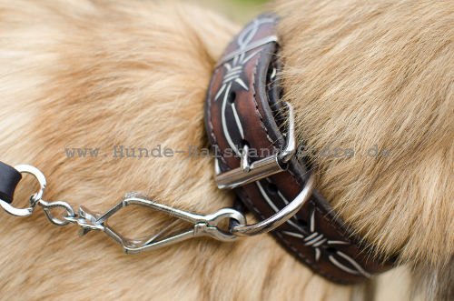 lebendiges Halsband fuer Hund 