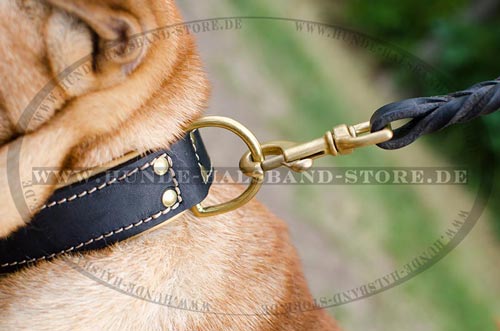 Hundehalsband mit
heller Polsterung