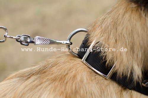 Teervueren Halsband aus Nylon