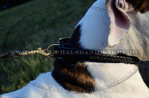 Hochwertiges Halsband mit Schmuck Flechten