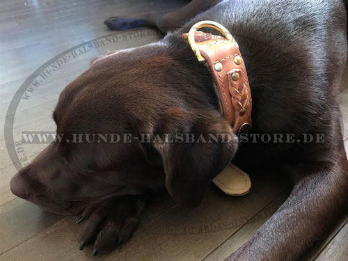 Hundehalsband 40 mm mit Handarbeit Schmuck