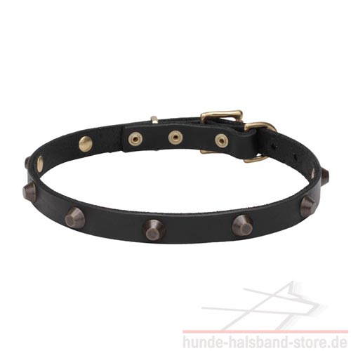 gefettets Hundehalsband 20 mm