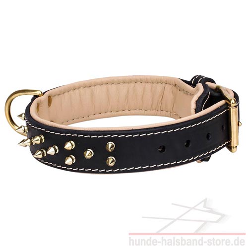 Halsband mit Spikes und Polsterung 