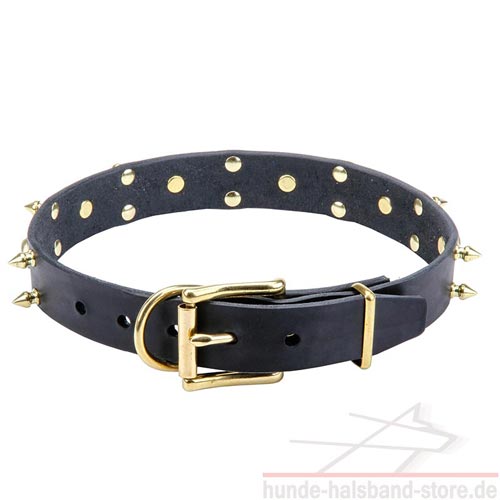 stilvolles Halsband Hund