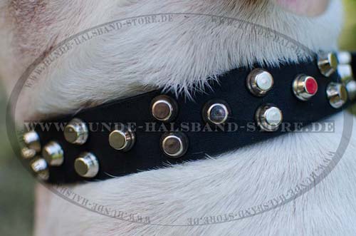 Hundehalsband Leder haltbar