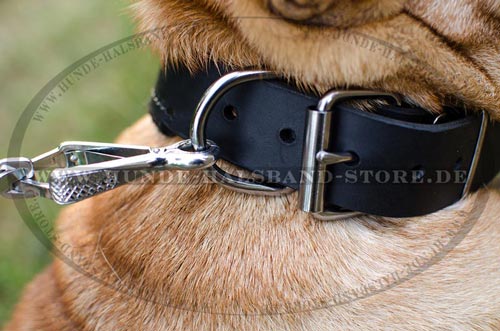 klassisches Halsband fuer Shar Pei