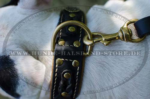 Hundehalsband Leder stilvoll