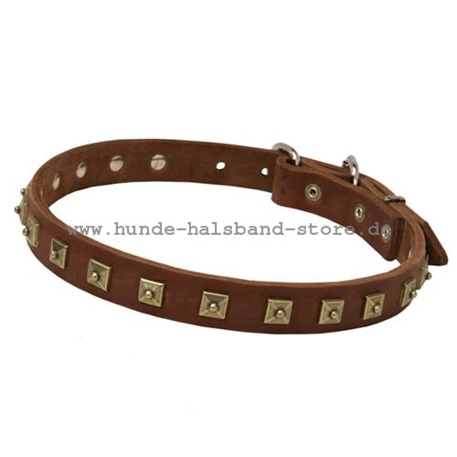 Hundehalsband aus Leder Nieten 