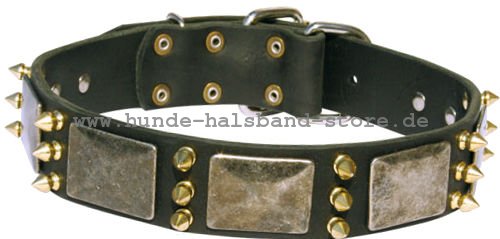 Hundehalsband aus Leder Spikes 