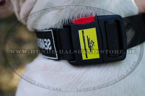 Hundehalsband Leder Logovarianten