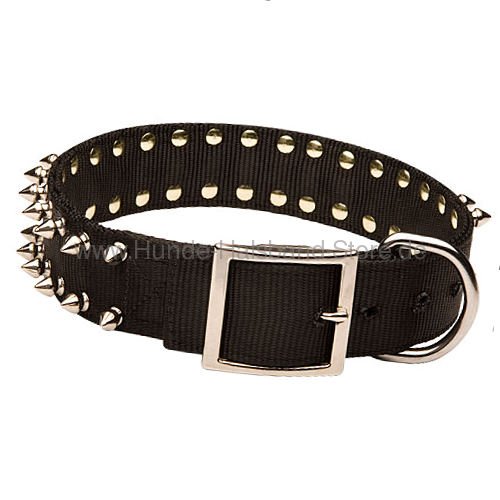 Hundehalsband mit silbrigen Spikes 