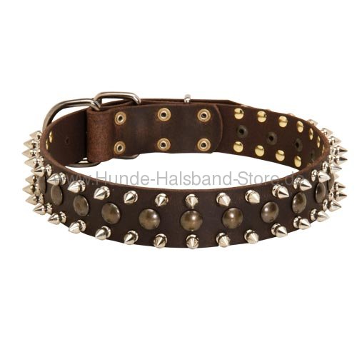 Halsband Leder 40 mm Spikes