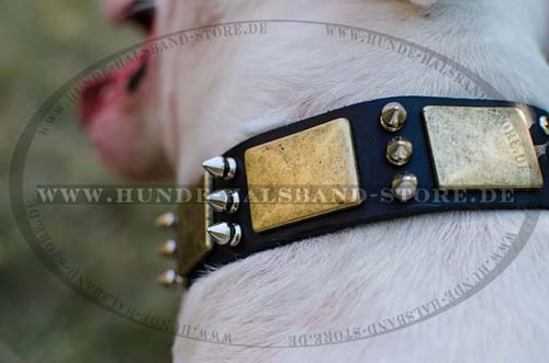 Halsband aus Leder mit Schmuck