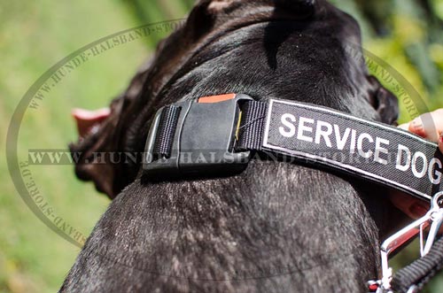 
HUndehalsband mit Klettlogos