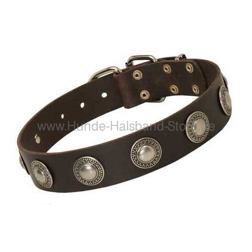 Hundehalsband Leder braun