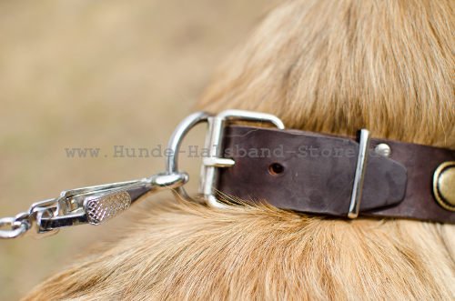 perfektes Hundehalsband mit ovalen Platten