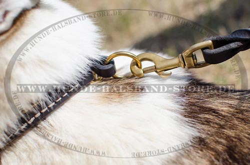 Halsband für Husky durchgenäht