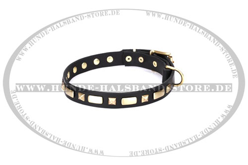 originelles Halsband eng 