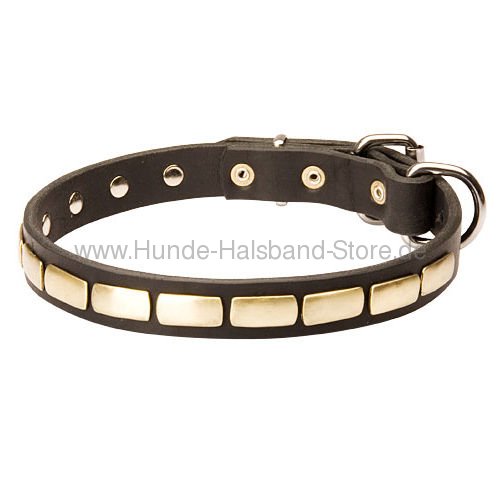 Hundehalsband aus Naturleder stilvoll 