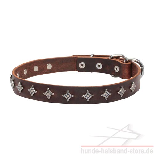 stilvolles Halsband Hund