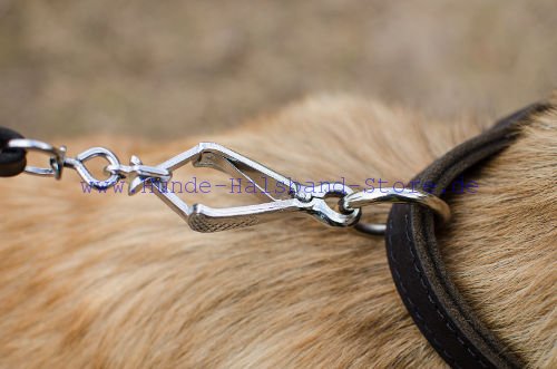 haltbares
Hundehalsband aus Leder fuer Alltag und Erziehung