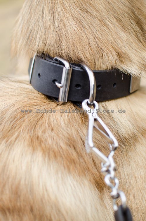 hochqualitatives Leder Halsband 